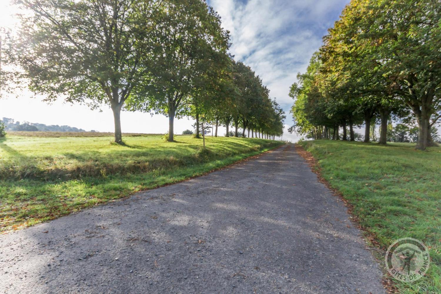 L'Atelier A L'Oree Des Bois Saint-Pierre-en-Auge المظهر الخارجي الصورة